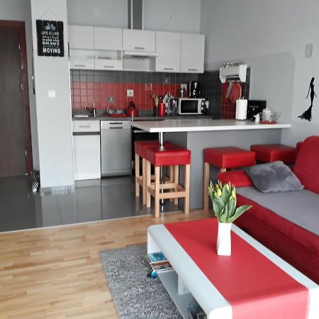 Przytulny Apartamencik Дарлувко Экстерьер фото